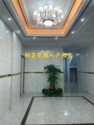 大岭山中心最新小产权房【柏芸家园】均价4850起,无条件贷款首付5成 利息5厘