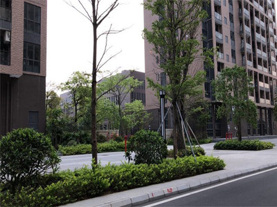 东莞松山湖村委统建楼【松湖*国际都会】6栋17层，带地下车库，5880元/平起，首付6成，分期5年