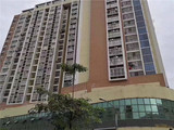 沙井新桥村委统建楼【芙景豪庭】保留单位推出，13300元/平起，村委盖章过后，使用率高达90%