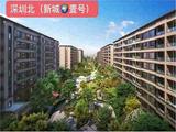 6栋塘厦石马村委统建楼《新城壹号》小区封闭式管理自带花园