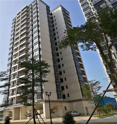 惠州惠东大型小产权房【盛世丽都】2980元/平起，8栋封闭式花园小区