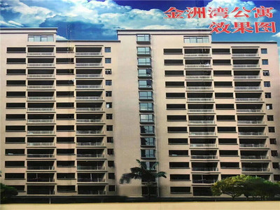 虎门中心【金洲湾公寓】4300元/平起，首付5成，分期2年
