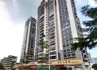 龙华清湖地铁口300米,大型统建楼金湖雅苑,带地下停车位,带天然气