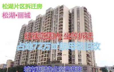 大岭山龙江小产权房拆迁房(松湖丽城)4960元两栋,首付5成,无条件分期3年