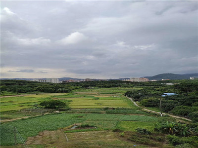 虎门居岐小产权房【田心花园】3180元/平起，首付5成，分期3年，依山傍水，天然氧吧