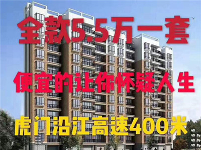 虎门路东最便宜的小产权房【滨海美居】5.5万/套起，首付6成，免息分期1年
