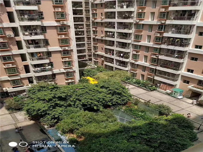 沙井万丰统建楼【海岸城情人湖花园】11900元/平，花园式小区，公司绿本