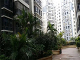 龙华清湖地铁口统建楼【金湖花园】18000元/平起，4栋23层大型花园，带地下车库