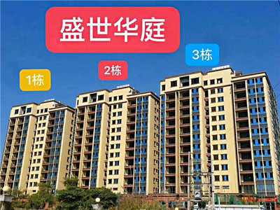 博罗龙溪小产权房|盛世华庭|2梯7户|3680元