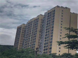 （售罄）布吉村委统建楼【南湾花园】特价11000元/平起，6栋花园小区，带天然气管道